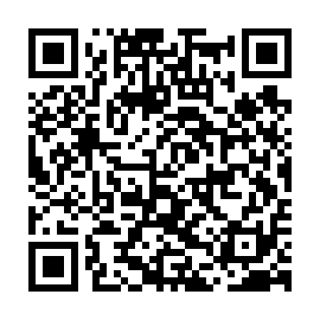 QR code for MDSF11