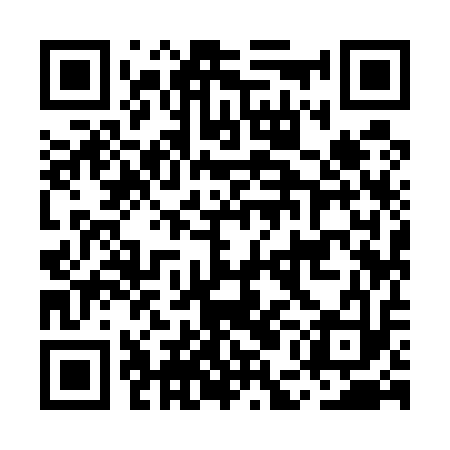 QR code for MEI513