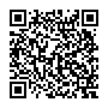 QR code for MESF93