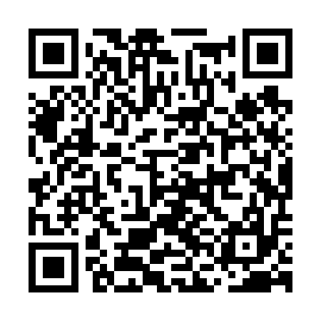 QR code for MFHV17