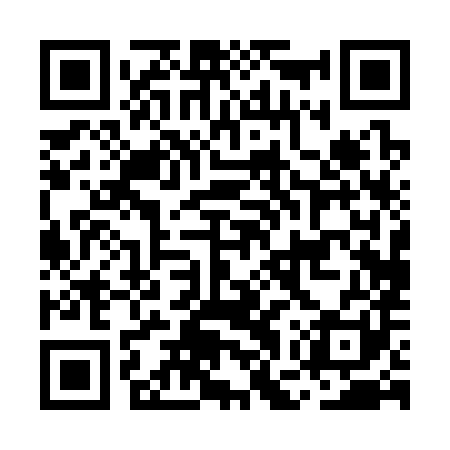 QR code for MGP381