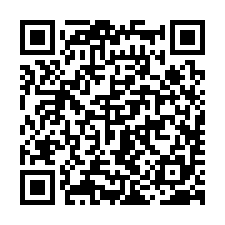 QR code for MIR395