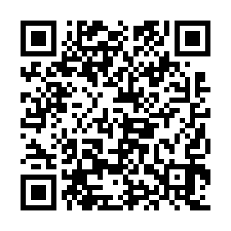 QR code for MIR613