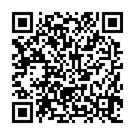 QR code for MMP384