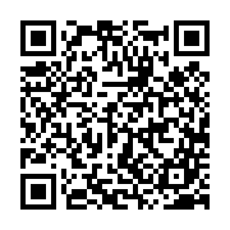 QR code for MSD447