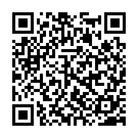QR code for MSG375