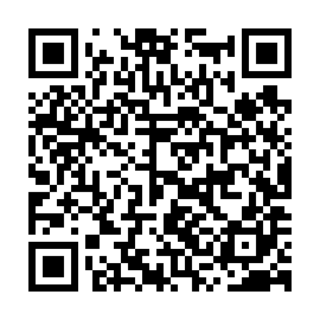 QR code for MSLV80