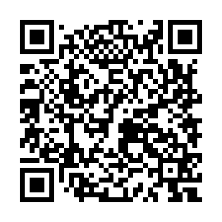QR code for MSN961