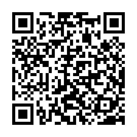 QR code for MSPP29
