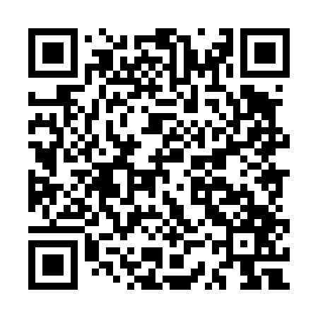 QR code for MSX447
