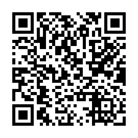 QR code for MSXS11