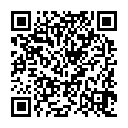 QR code for MVL383