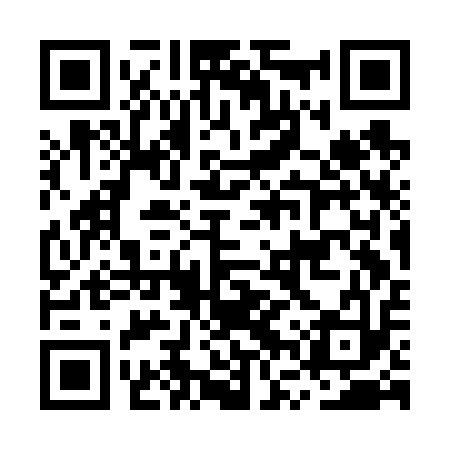 QR code for MVSF13