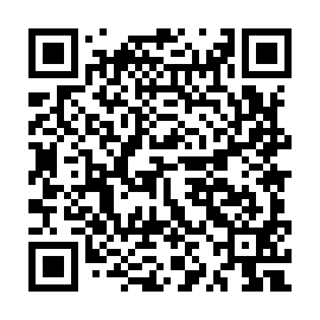 QR code for MZM991