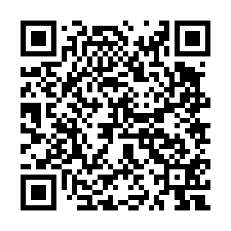 QR code for MZZ411