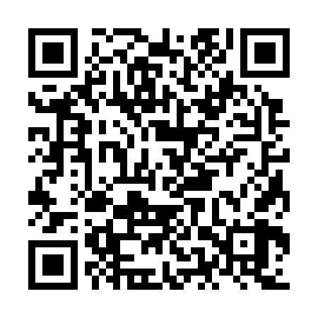 QR code for NES368