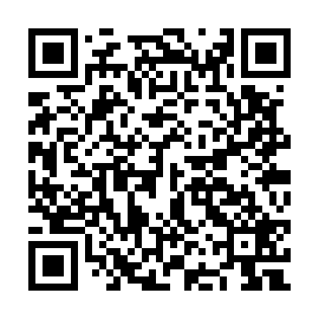 QR code for NFSU29