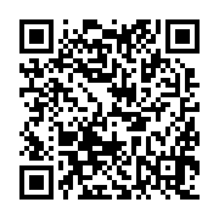 QR code for NFV294