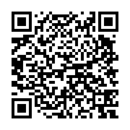 QR code for NIE438