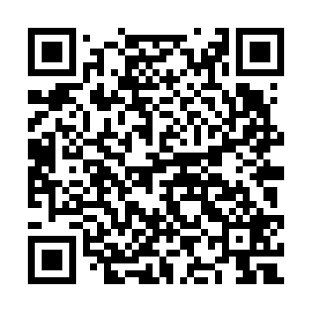 QR code for NILV29