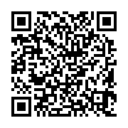 QR code for NMM381
