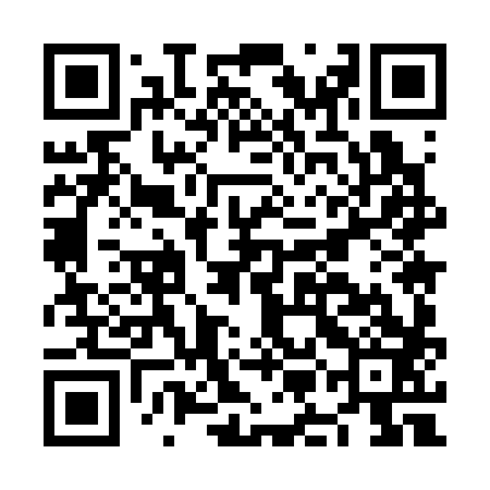 QR code for NMM383