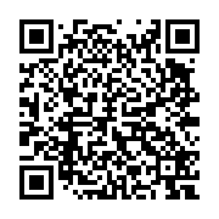 QR code for NMQT29