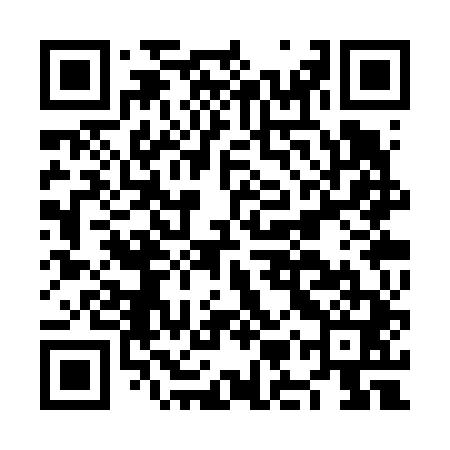 QR code for NMSV41