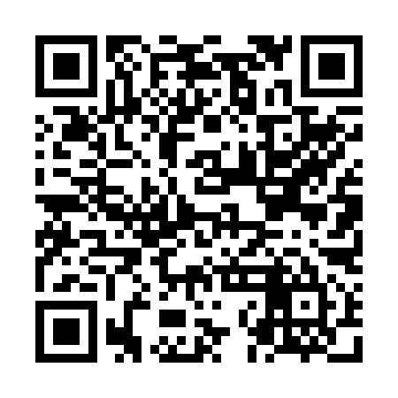 QR code for NND295