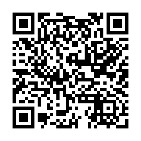 QR code for NNI393