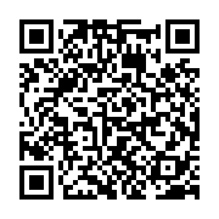QR code for NNPN38