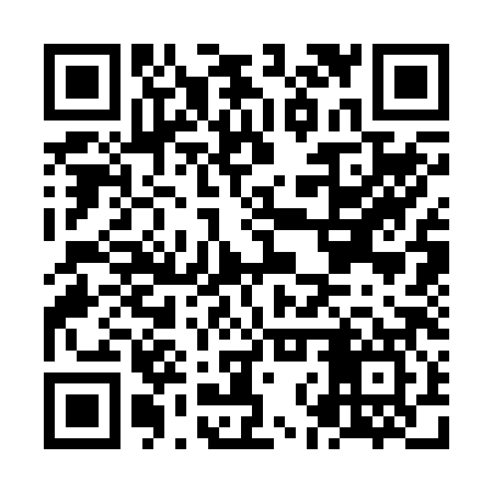 QR code for NNS287