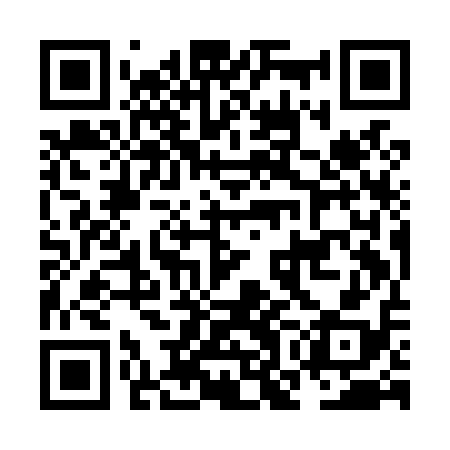 QR code for NOIL18
