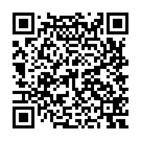 QR code for NOU919