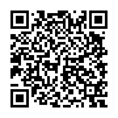 QR code for NPN410