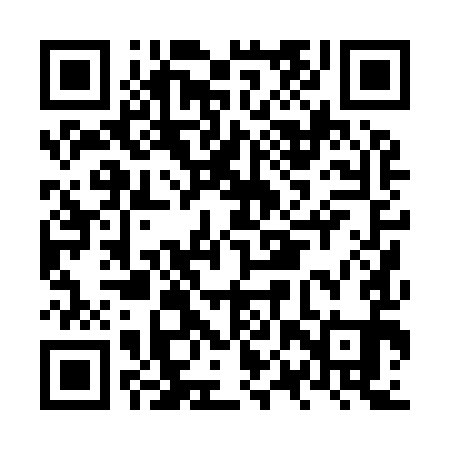 QR code for NPP991