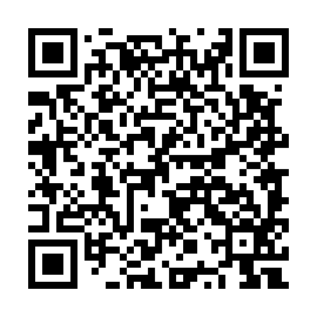 QR code for NPT596