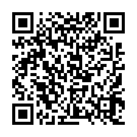 QR code for NQI618