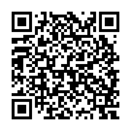 QR code for NRN383