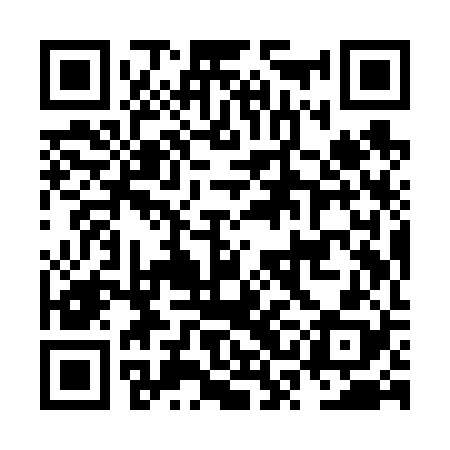 QR code for NSIV28