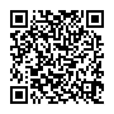 QR code for NXD381