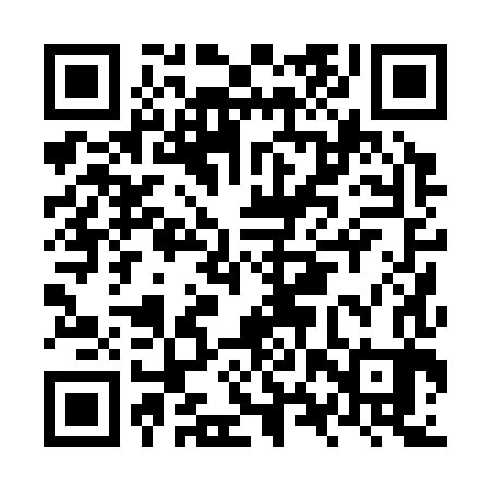 QR code for NXP383