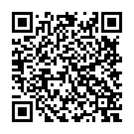 QR code for NYE823