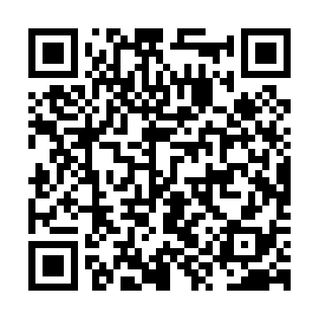 QR code for NYPP38