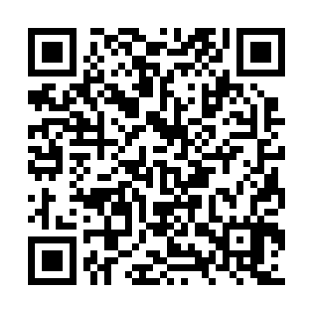 QR code for NYS207
