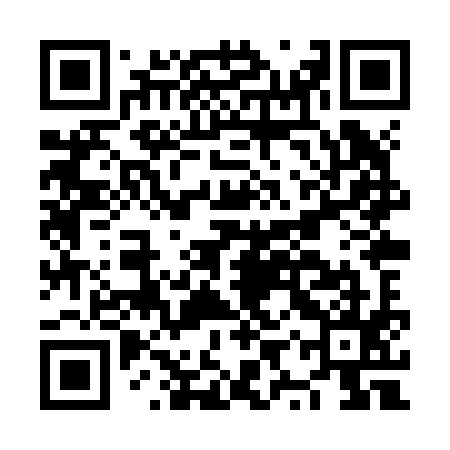 QR code for NYXZ95