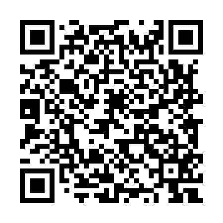 QR code for NZL955