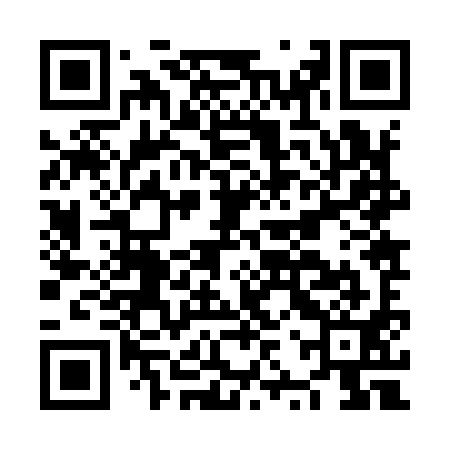 QR code for NZZ991