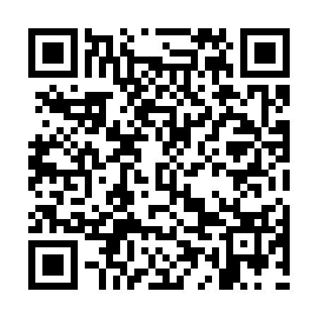 QR code for OEL333