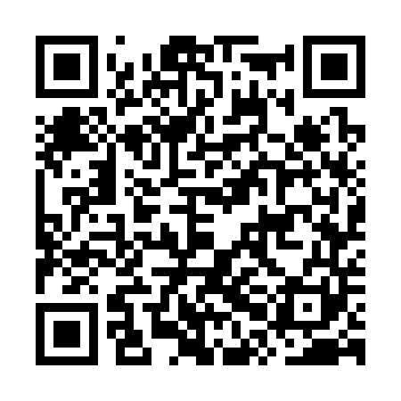 QR code for OPG341